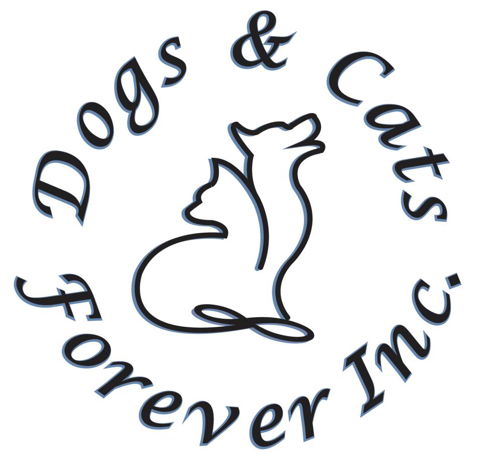 Pet Adoption | Dogs and Cats Forever, Inc.