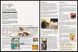 Dogs and Cats Forever, Inc.