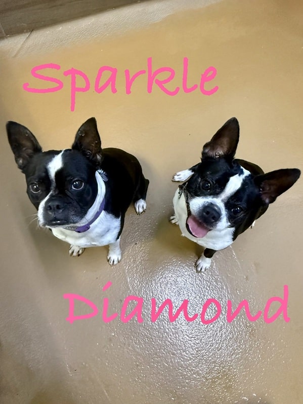 DIAMOND & SPARKLE