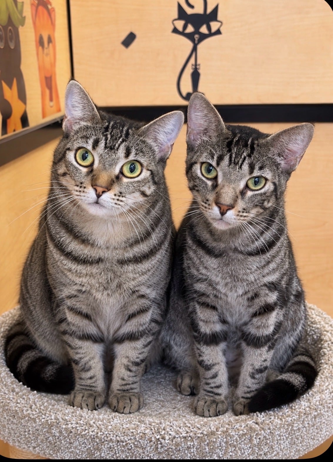 Betty and Bubba