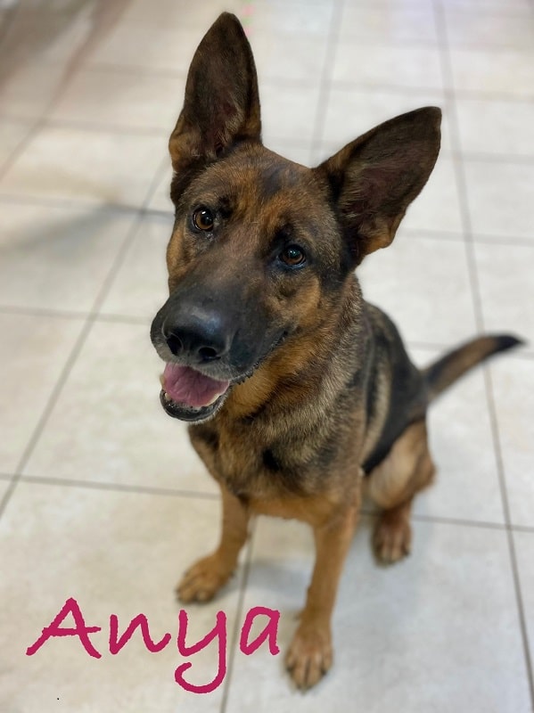 ANYA