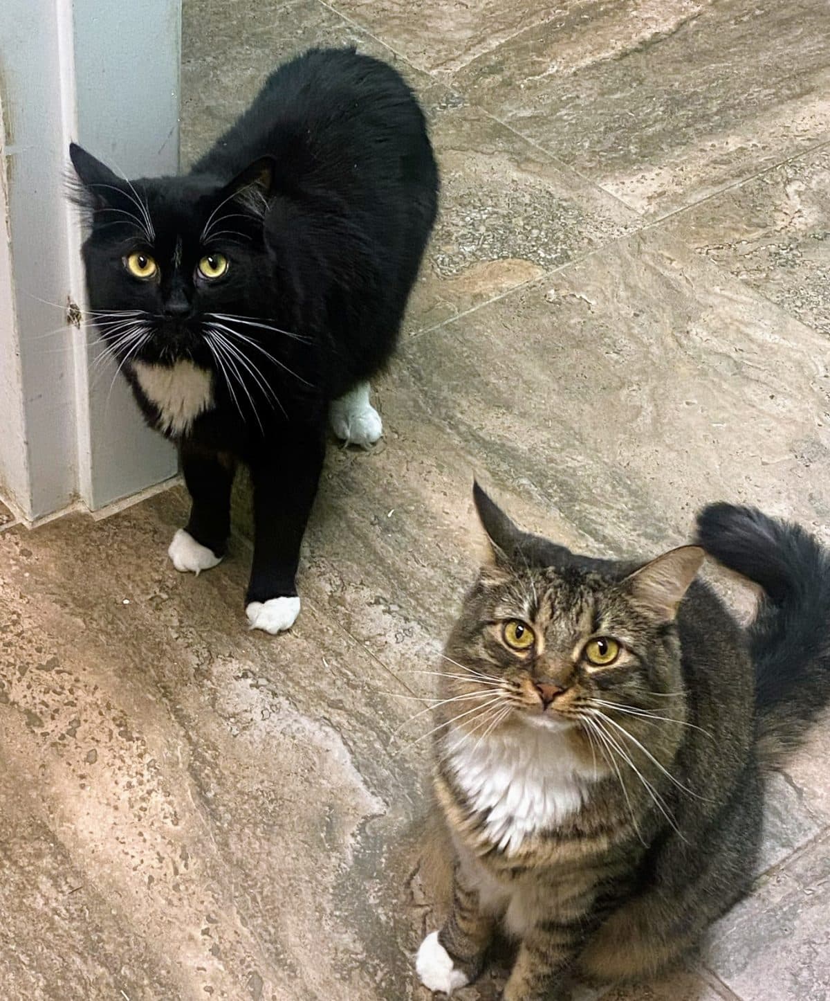 Sebastian and Skylar