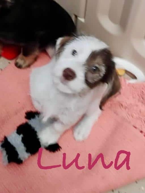 LUNA