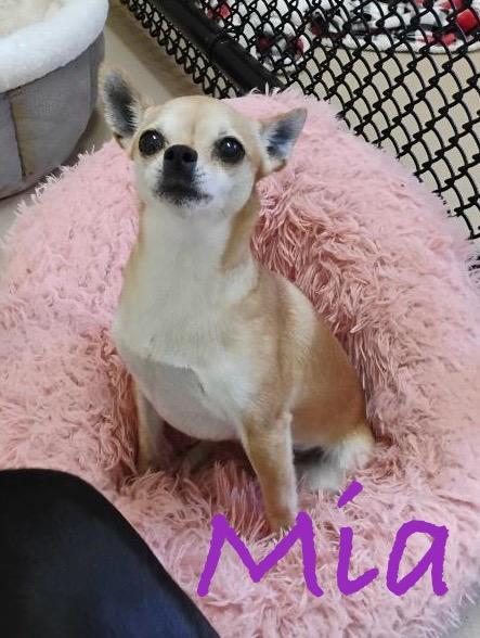 MIA
