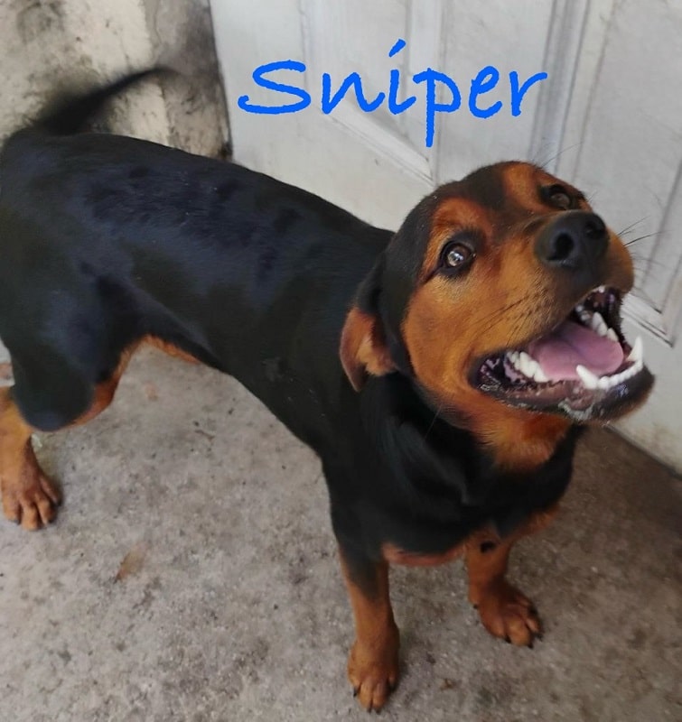 SNIPER